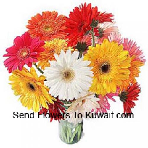 18 Cute Mixed Gerberas