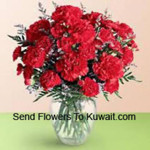 36 Red Cute Carnations