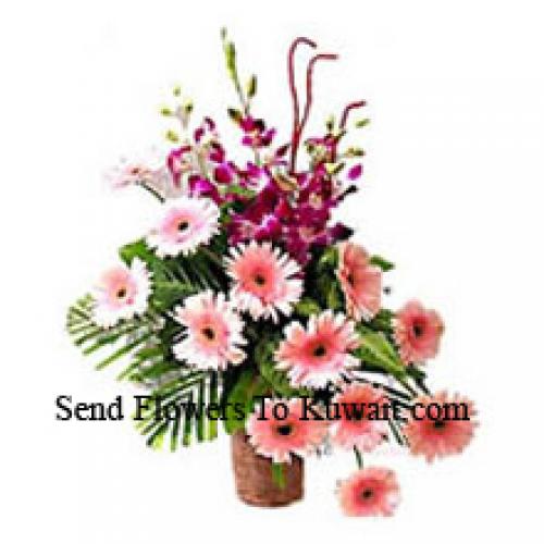 Sensational Gerberas with Orchids