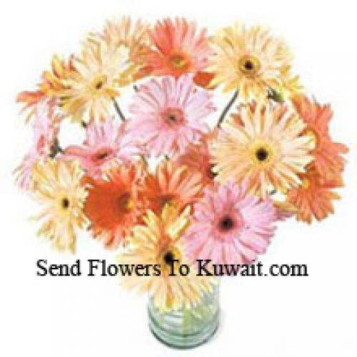 24 Fancy Assorted Gerberas