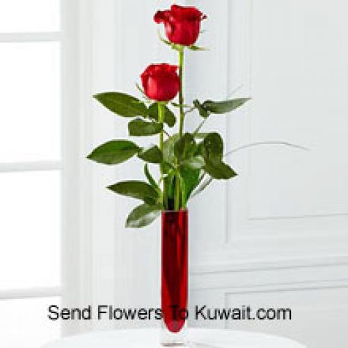 2 Douces Roses Rouges en Vase