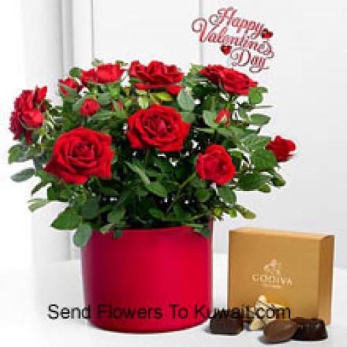 24 Red Roses with Yummy Godiva Chocolates